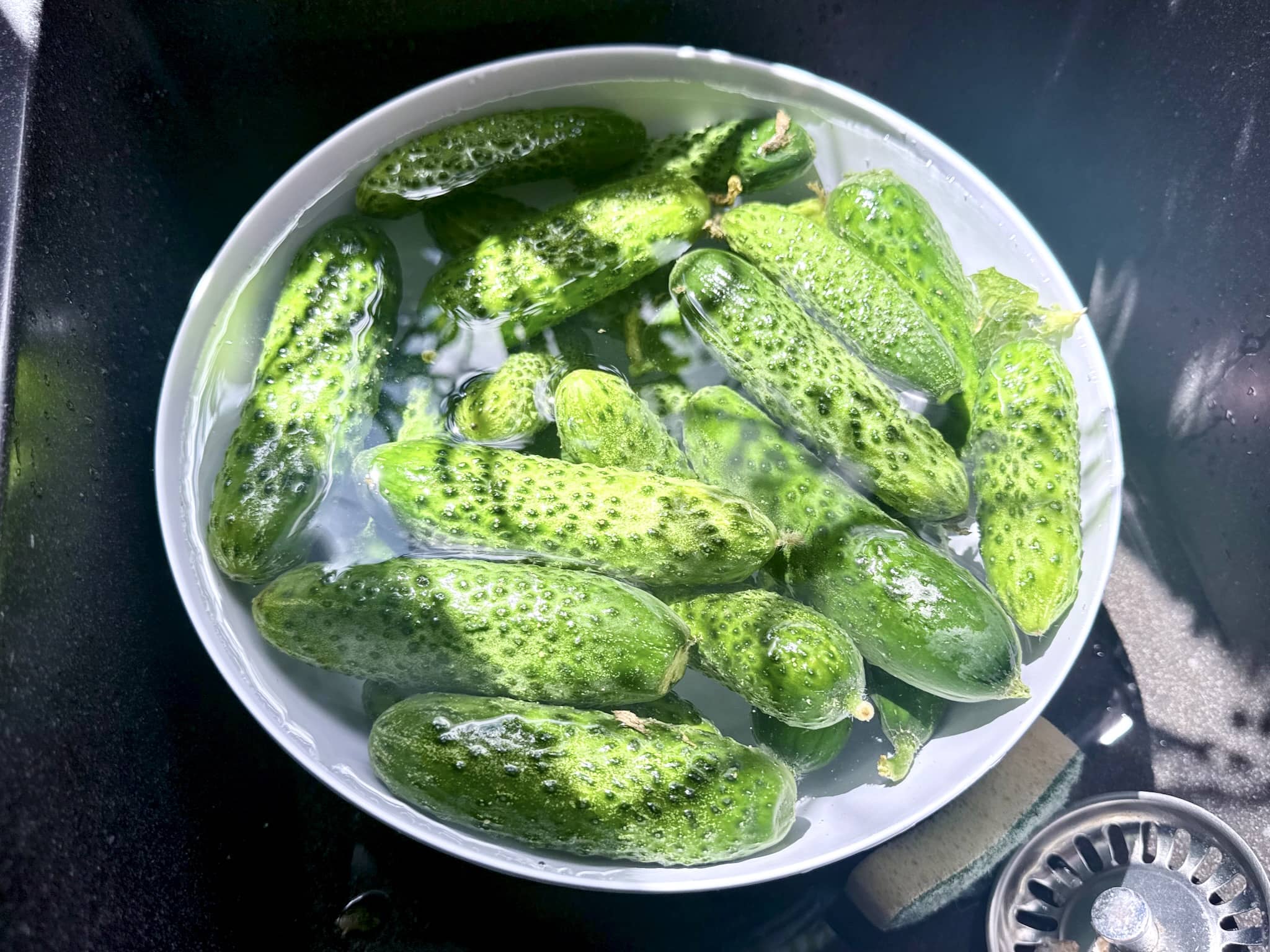 Cucumbers in a bowl of cold water