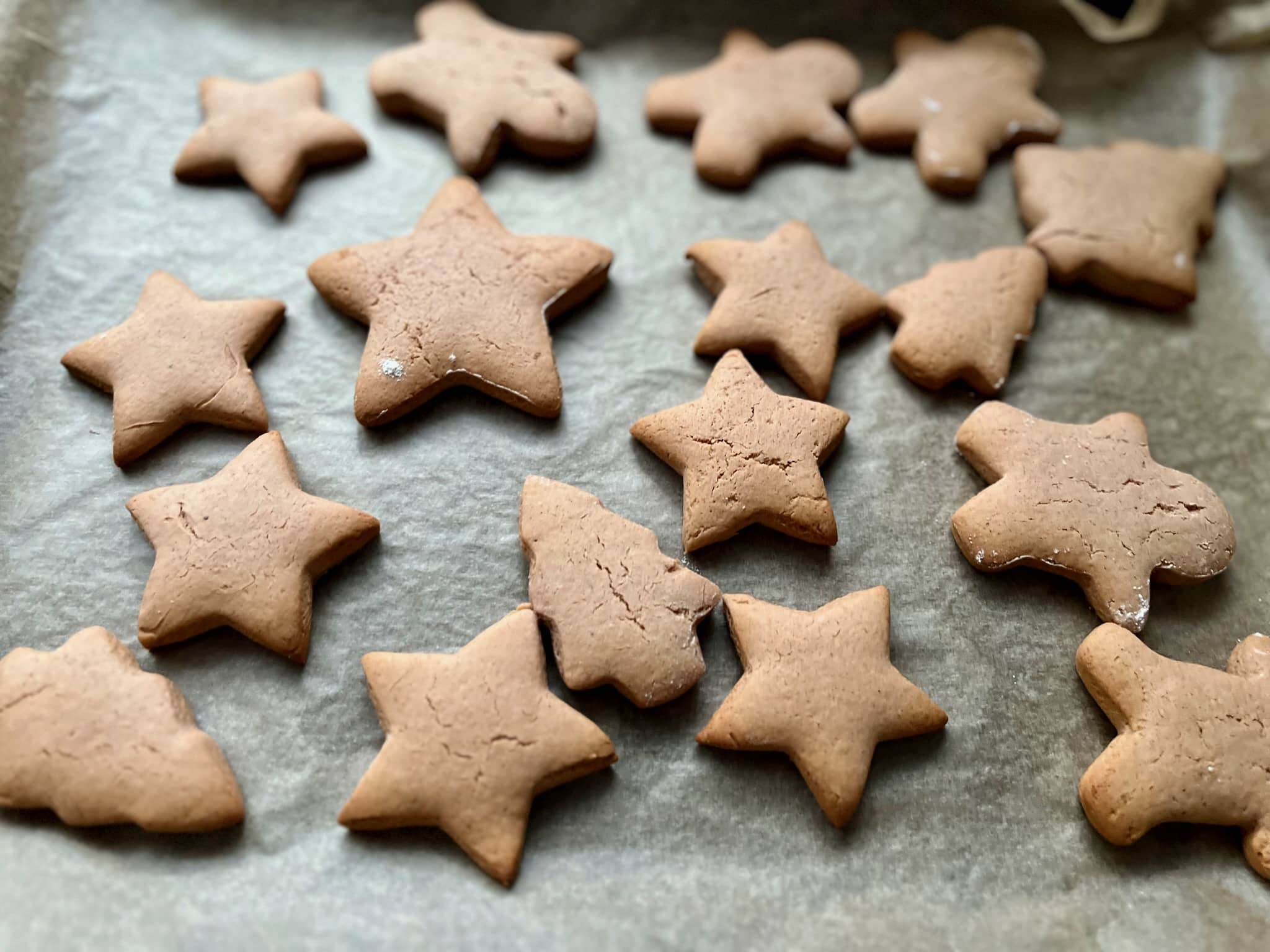 Gingerbread Cookies on the baking tray after baking